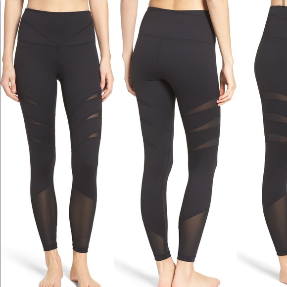 yoga pants with sheer cutouts